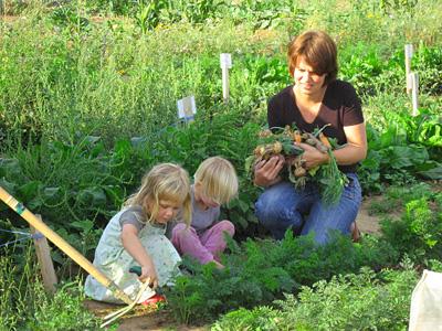 Meine ernte 400x300